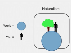 Materialist/Naturalist Worldview