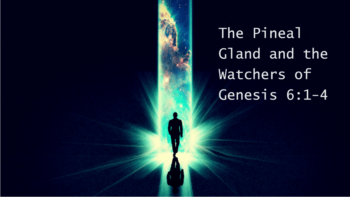 Pineal Gland and the Watchers
